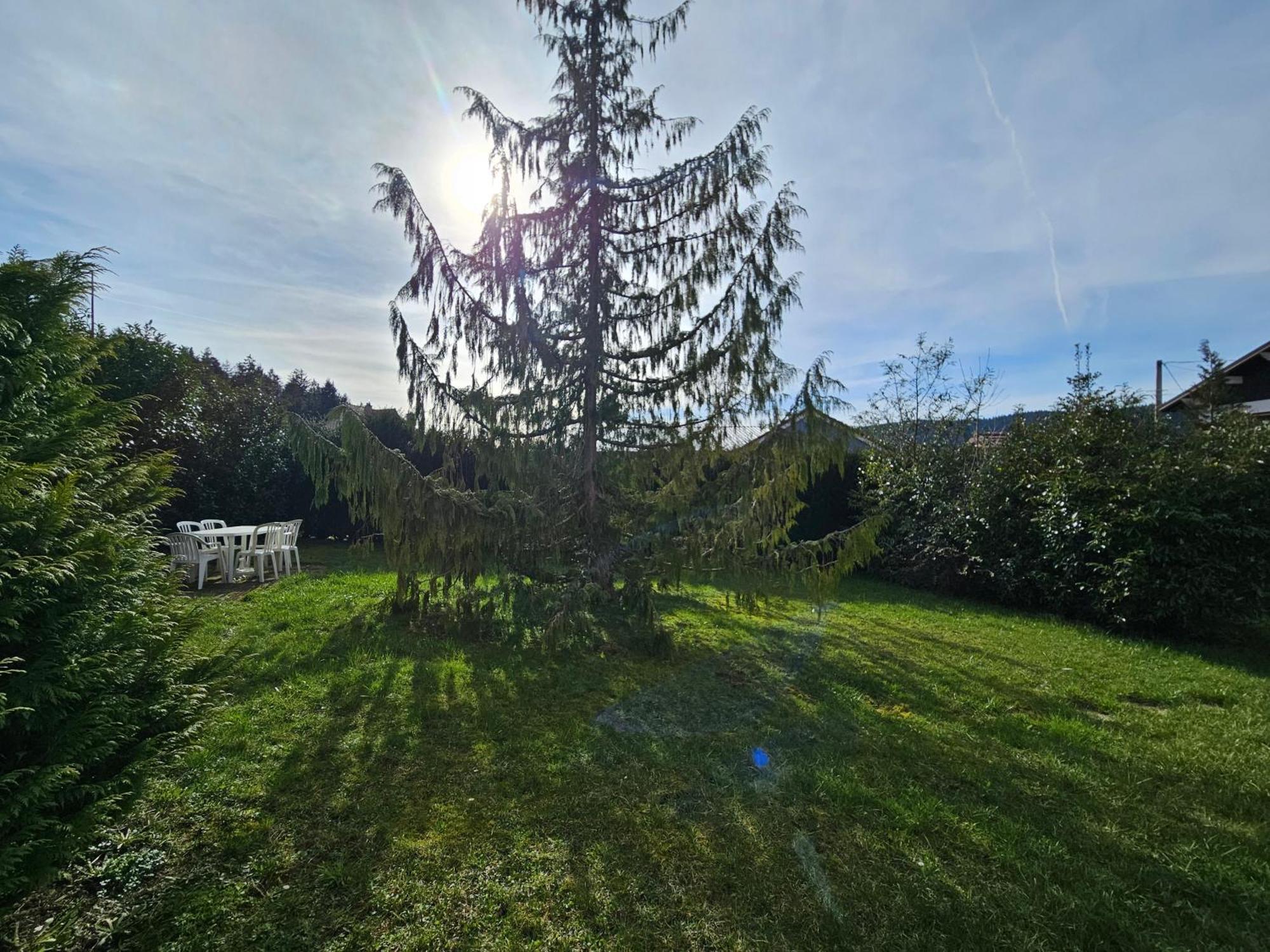 Appartement Chaleureux Gerardmer Proche Foret Εξωτερικό φωτογραφία